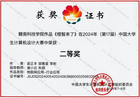 2024年计算机设计大赛全国总决赛二等奖-橙智来了