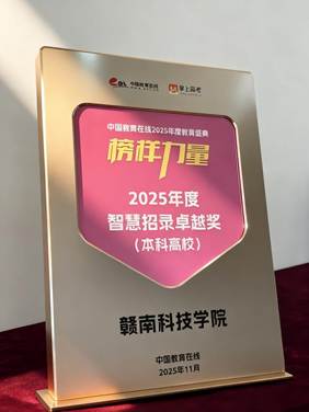 2025年度智慧招录卓越奖